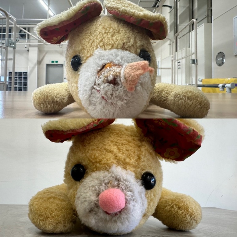 38F240B3-8D24-404E-9AAA-45C776F28391