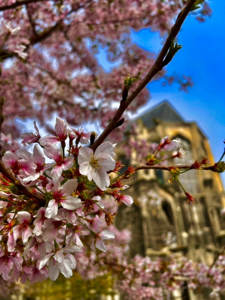 LINE_ALBUM_フランス_240410_25