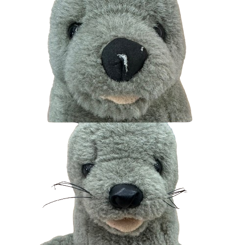 S__16908318_0-removebg-preview