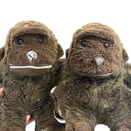 S__16908332_0-removebg-preview