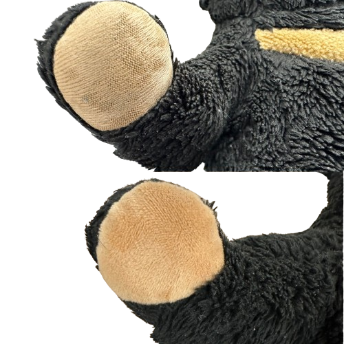 S__16916485_0-removebg-preview