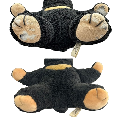 S__16916486_0-removebg-preview