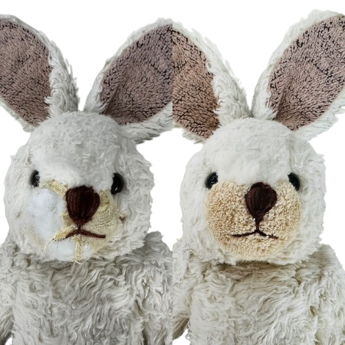 S__17014792_0-removebg-preview