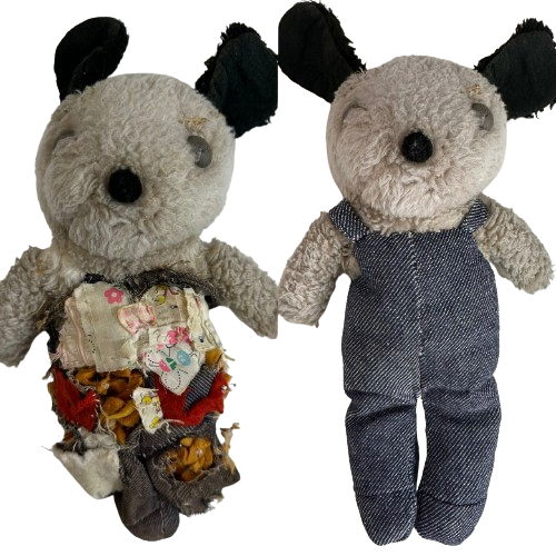 S__17236046-removebg-preview