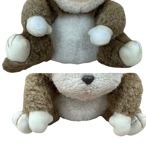 S__17301509_0-removebg-preview