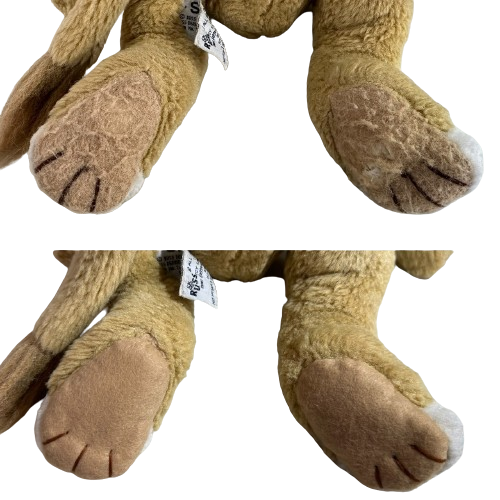 S__17350680_0-removebg-preview