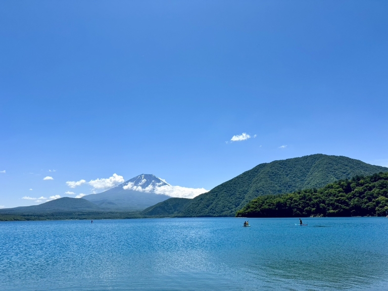 S__22962211_0 S__22962211_0