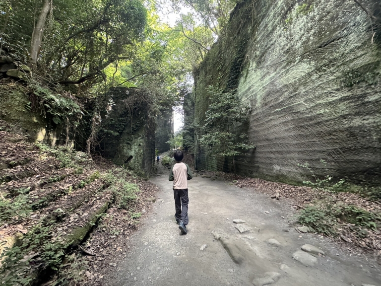 S__23412781_0 S__23412781_0