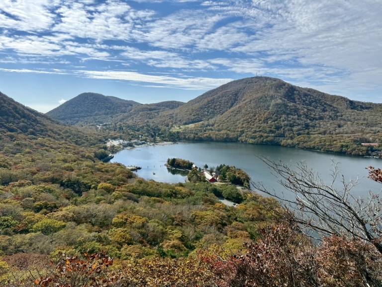 S__24223767_0 S__24223767_0