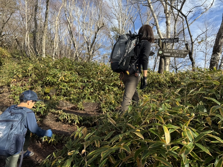 S__24223774_0 S__24223774_0