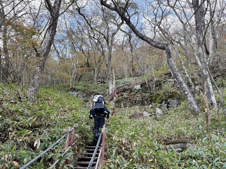 S__24223780_0 S__24223780_0