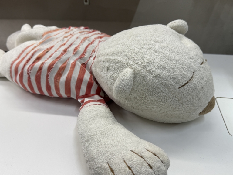 CF1EE54A-D337-4D68-B675-A72617ECB621