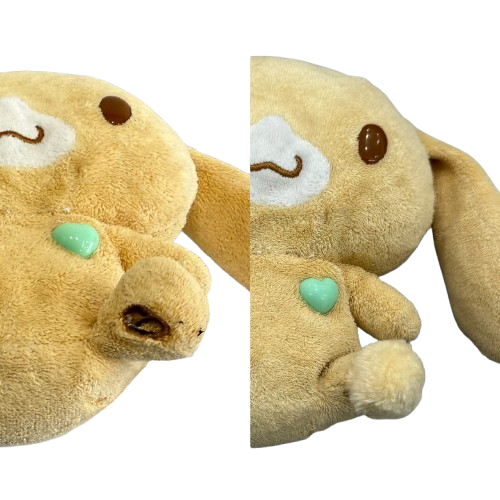 S__24363053_0-removebg-preview