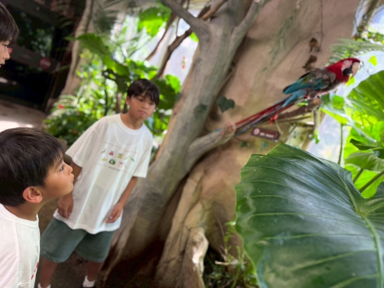 LINE_ALBUM_20241106_250820_1 LINE_ALBUM_20241106_250820_1