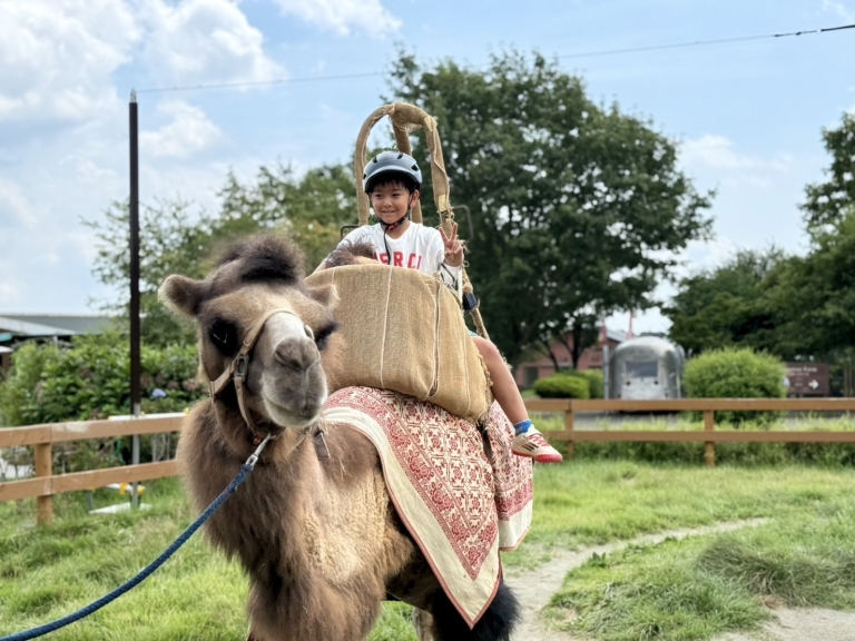 S__6504474_0 S__6504474_0