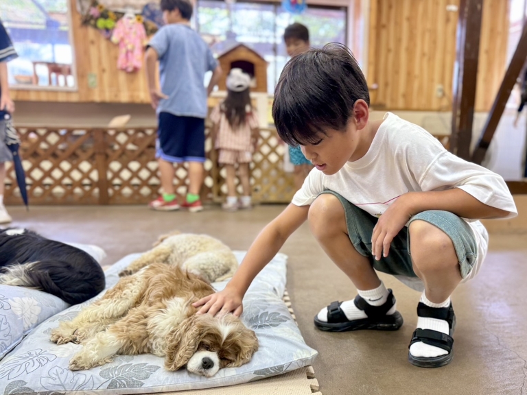 S__6504475_0 S__6504475_0