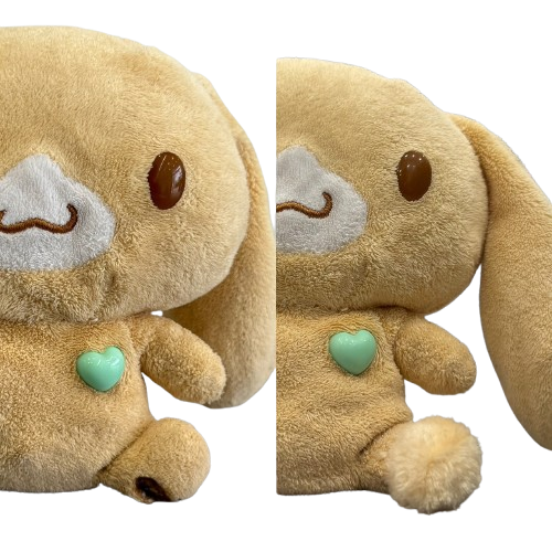 S__24363050_0-removebg-preview-1 S__24363050_0-removebg-preview-1