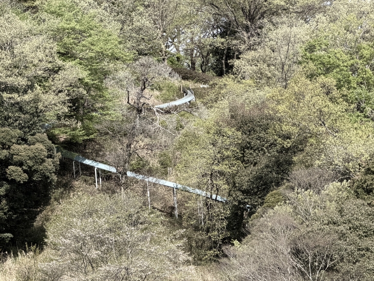 S__10911809_0