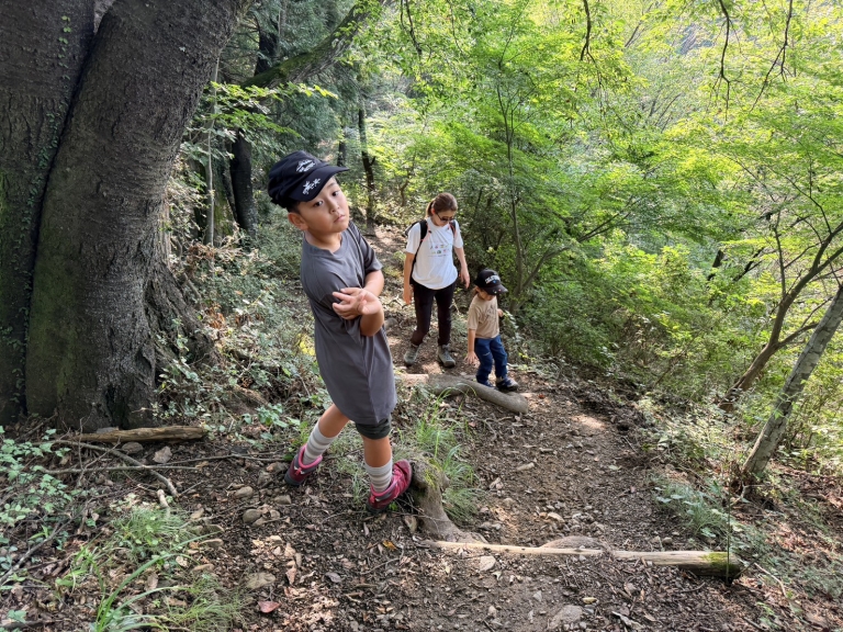 木の根が張る八重山の樹林帯を山頂へ向かって登る親子