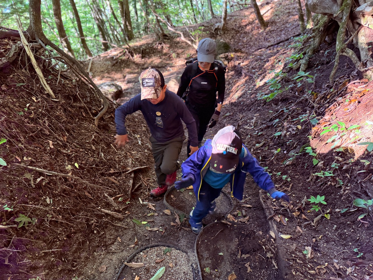 木の根が続く日向山登山道 木の根と段差が続く日向山登山道を登る家族