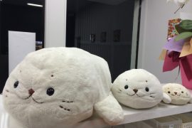 しろたんの洗濯・クリーニングは宅配クリーニングのネットで洗濯.com