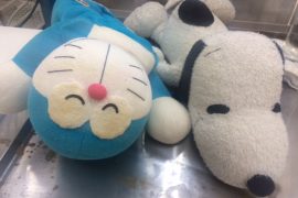 ぬいぐるみの黄変・黄ばみもお任せください。