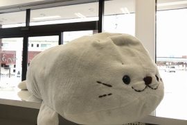 しろたんの専門クリーニングは、ネットで洗濯.comにお任せ下さい。