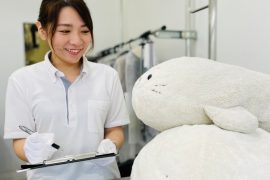 ぬいぐるみのカビ取り、防ダニ、汗抜き、黄ばみ取り加工
