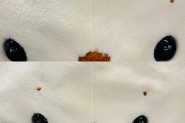 しろたんの眉毛のぬいぐるみ修理